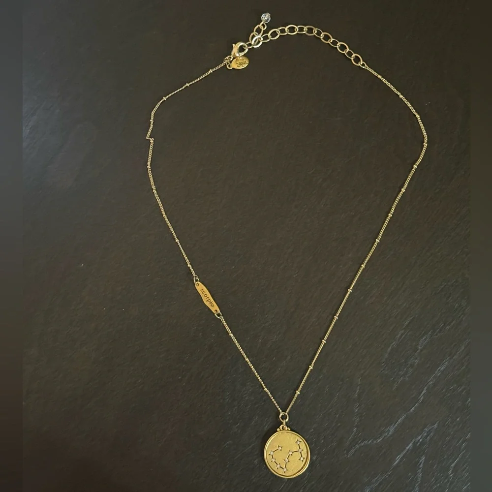 LIKE NEW Scorpio Constellation Necklace - Sequin Brand - Picture 3 of 8